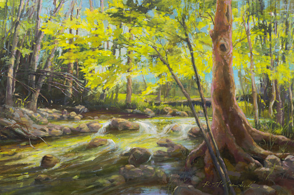 Tremont Summer Day by Rachael McCampbell