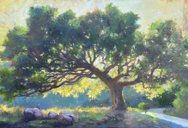 Carmel Love by Rachael McCampbell