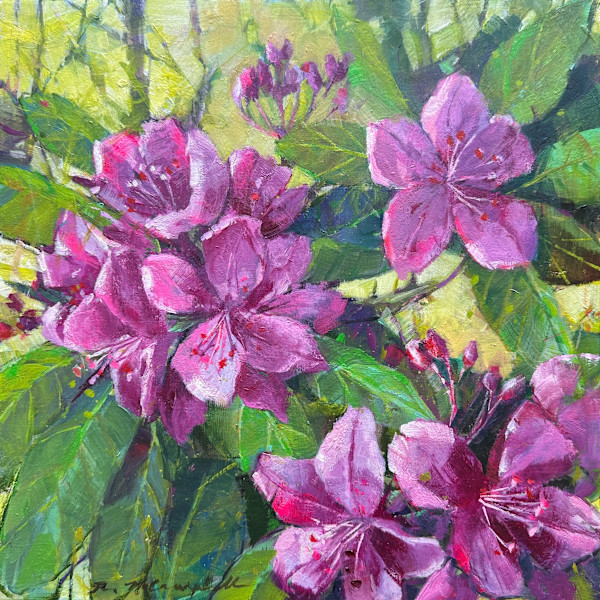 Rhododendron Love by Rachael McCampbell