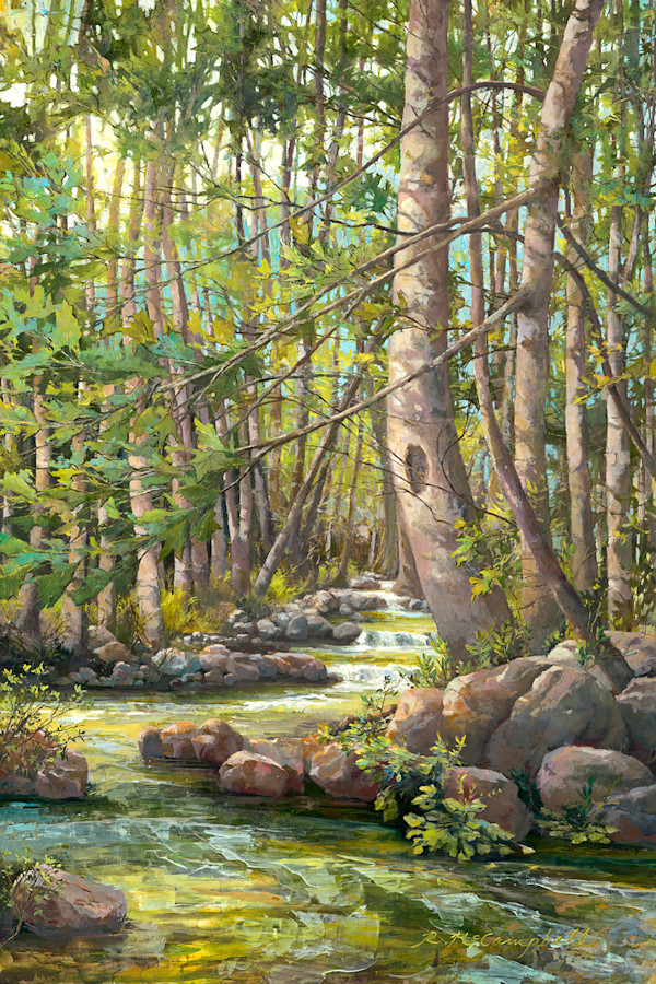 Little Pigeon River Reverie by Rachael McCampbell