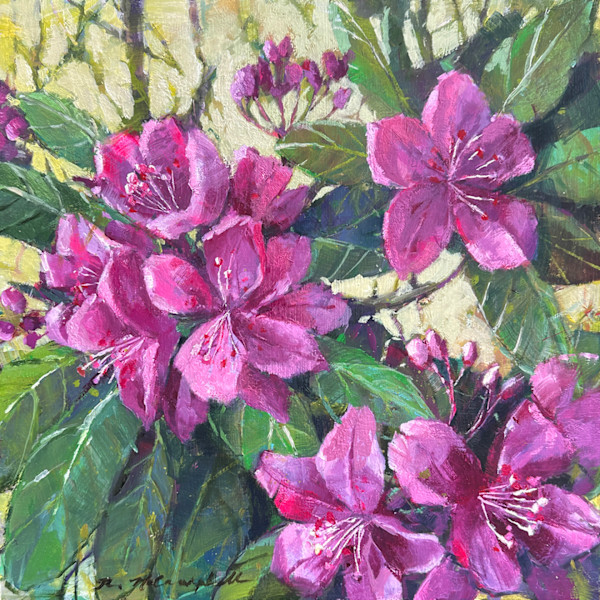 Rhododendron Love by Rachael McCampbell