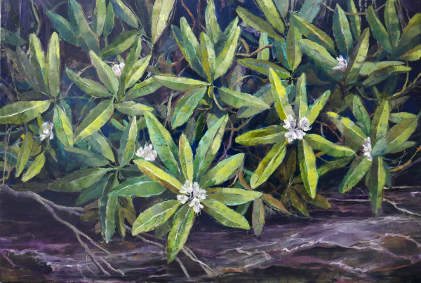 Smoky Mountain Peace by Rachael McCampbell