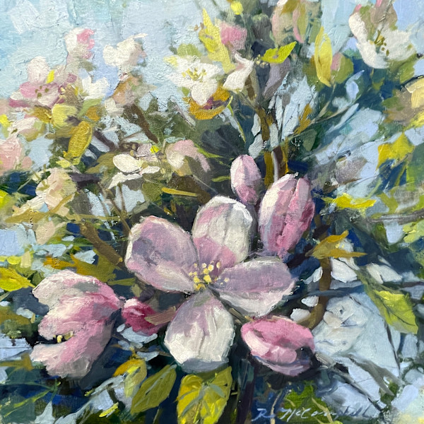 Vermont Apple Blossoms by Rachael McCampbell