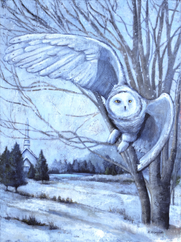 White Owl Flies Into and Out of Fields