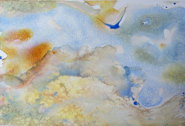 Living Ocean by Heather Stivison