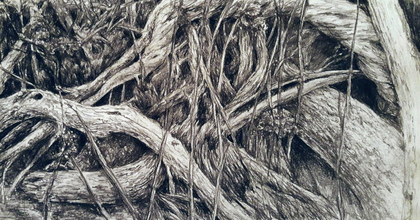 Tangles Roots, 1 by Heather Stivison