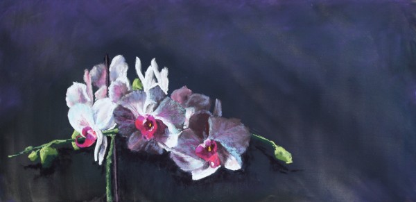 Orchid Drama by Renee Leopardi