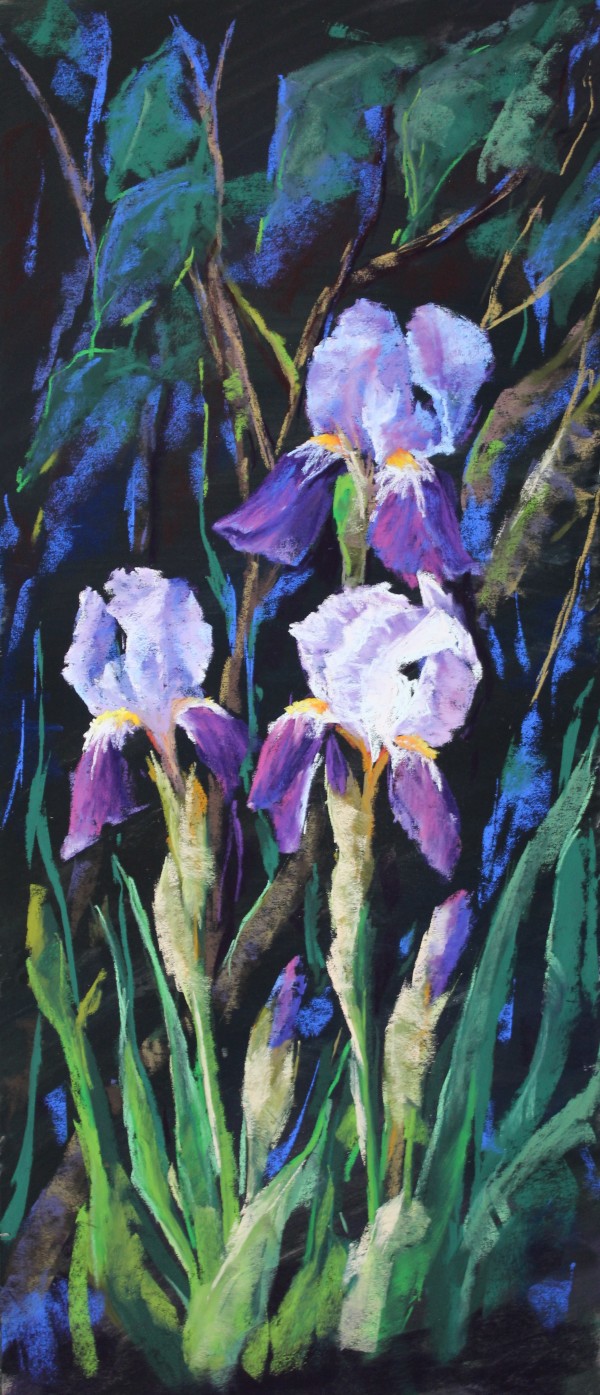 Purple Iris by Renee Leopardi