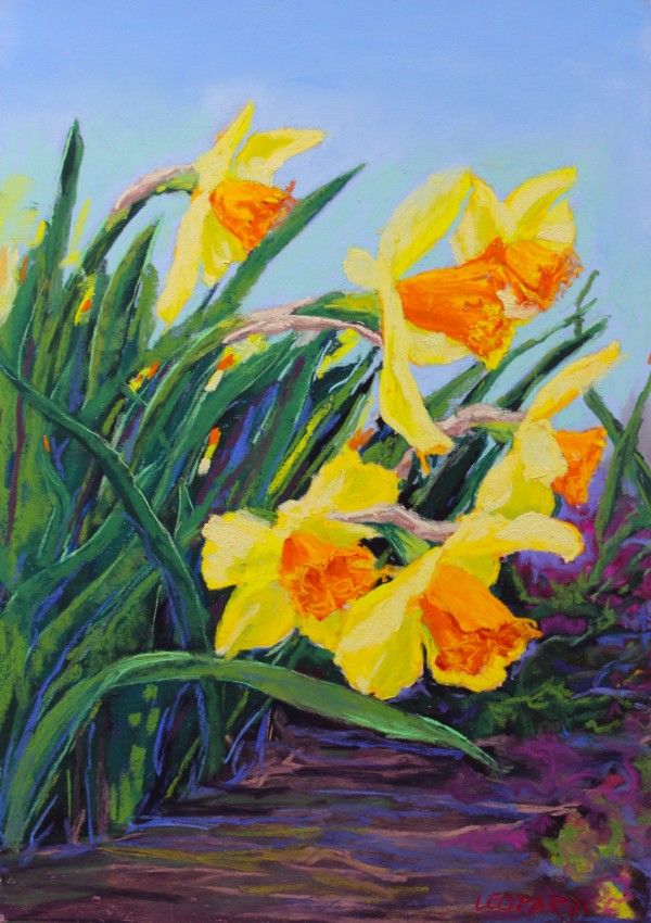 Daffodils by Renee Leopardi
