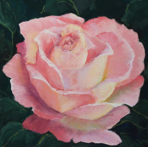 Pink Rose by Renee Leopardi