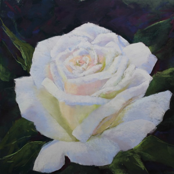White Rose by Renee Leopardi