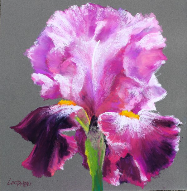 Majestic Magenta Iris by Renee Leopardi