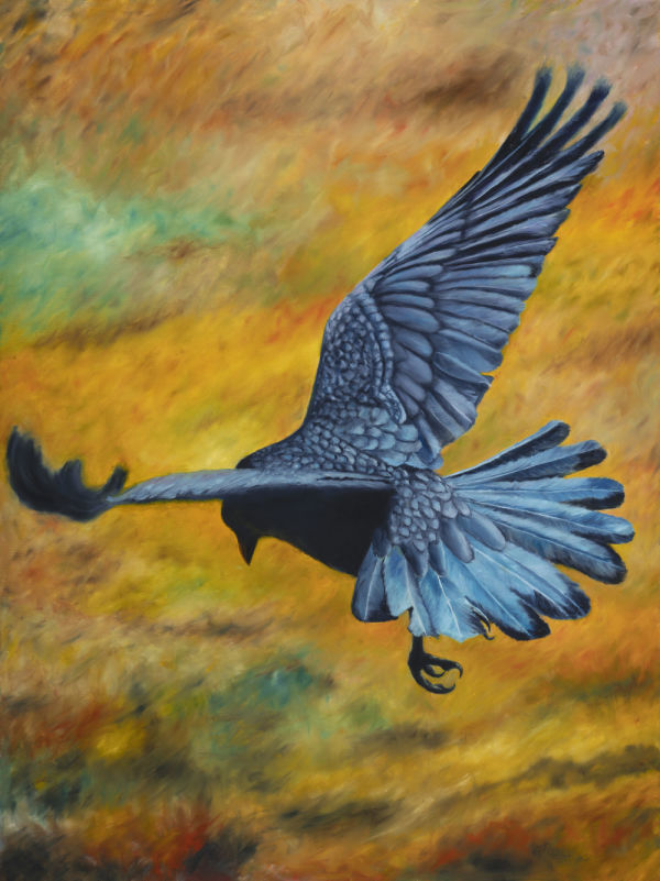 Blue Raven by Randy Robinson