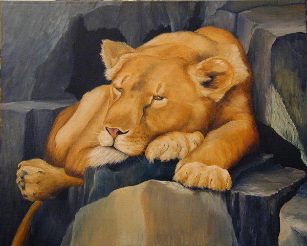 Lioness on the Rocks by Randy Robinson