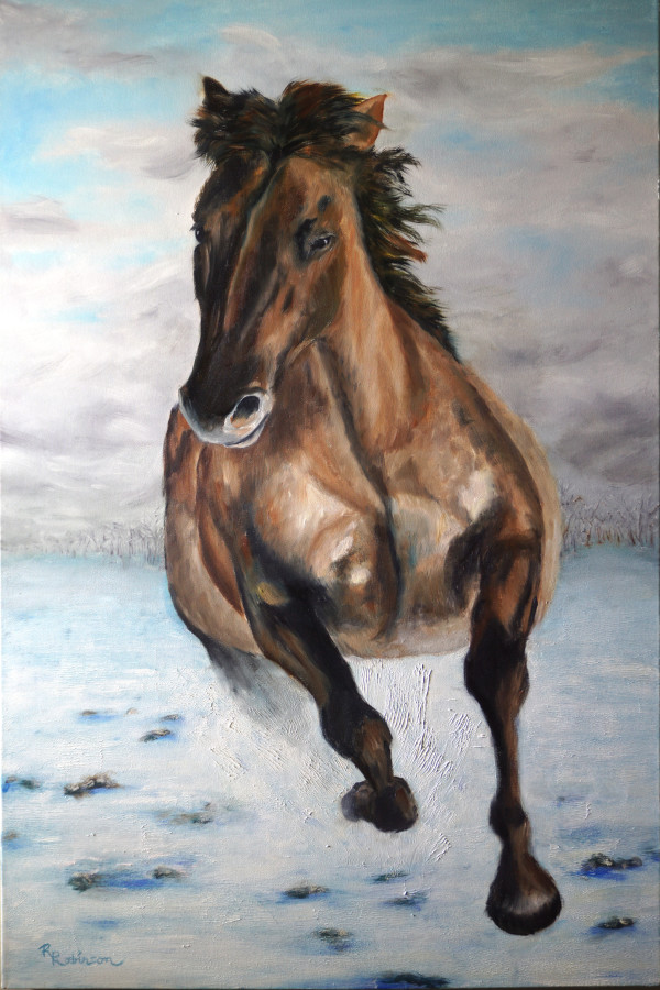 A Winter Gallop by Randy Robinson