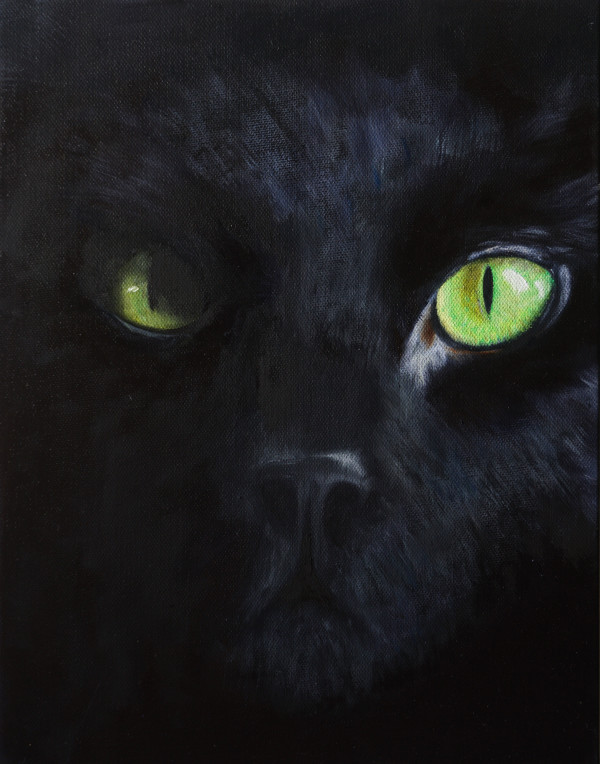 Cat’s Eye by Randy Robinson