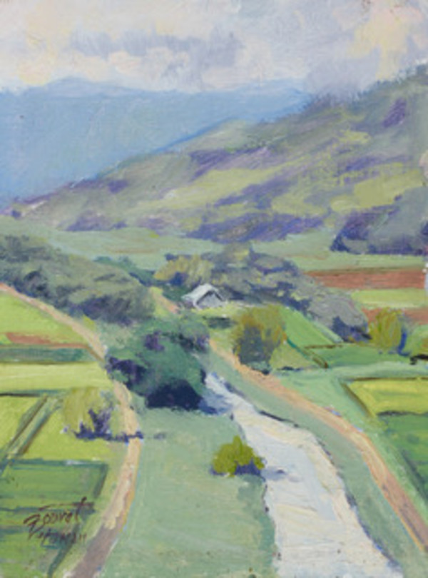The Hanalei Valley by Pierre Bouret