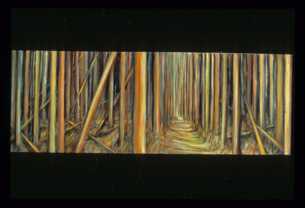 The Path by Gilah Yelin Hirsch
