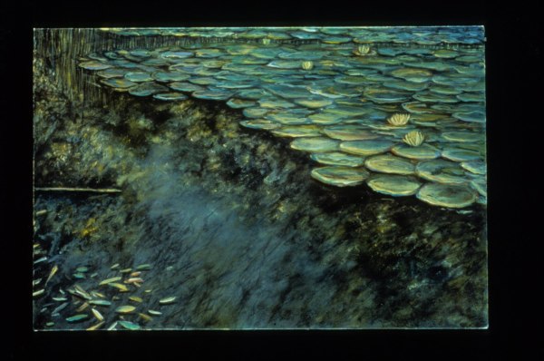 Dorland Pond #70, Late Morning by Gilah Yelin Hirsch