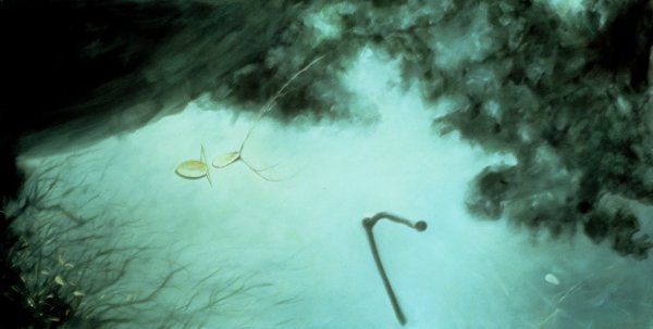 Dorland Pond #25 by Gilah Yelin Hirsch