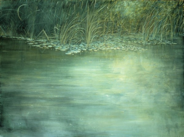 Dorland Pond #26 by Gilah Yelin Hirsch