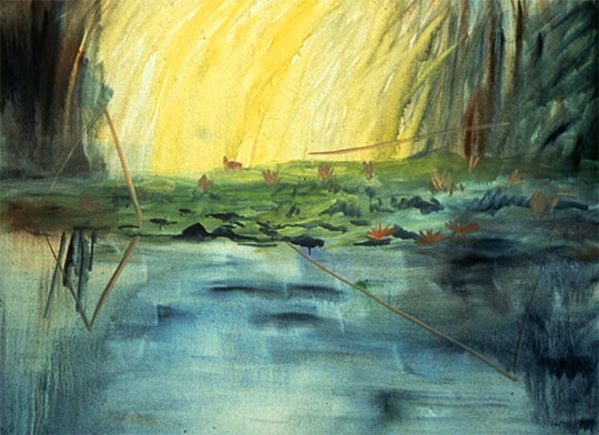 Dorland Pond #30 by Gilah Yelin Hirsch