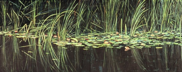 Dorland Pond #35 by Gilah Yelin Hirsch