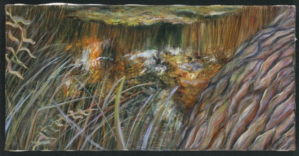 Dorland Pond #75 by Gilah Yelin Hirsch