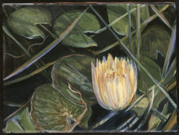 Dorland Pond #76 by Gilah Yelin Hirsch