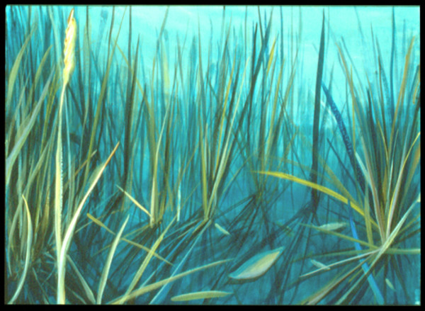 Drumlin Series #27 by Gilah Yelin Hirsch
