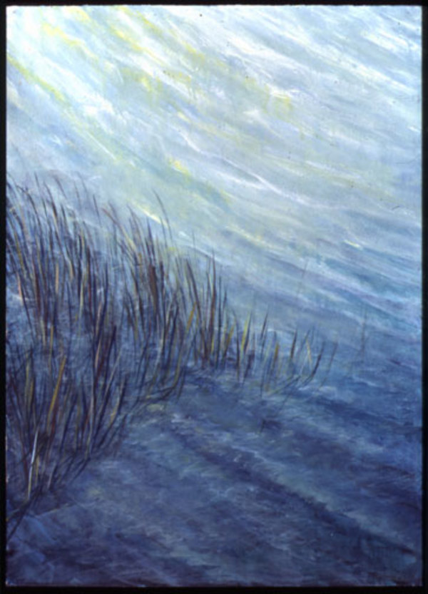 Drumlin Series #30 by Gilah Yelin Hirsch