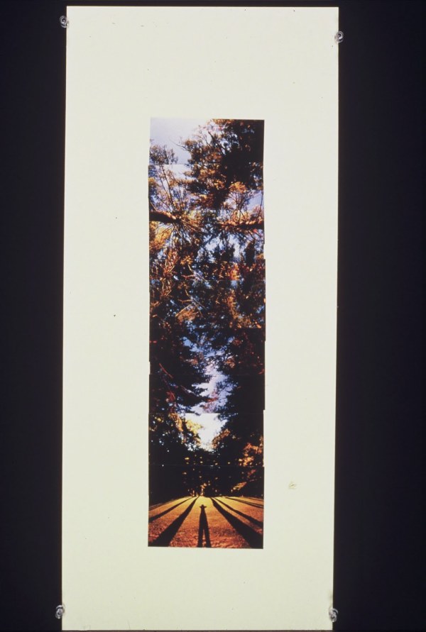 Photomural #03 by Gilah Yelin Hirsch