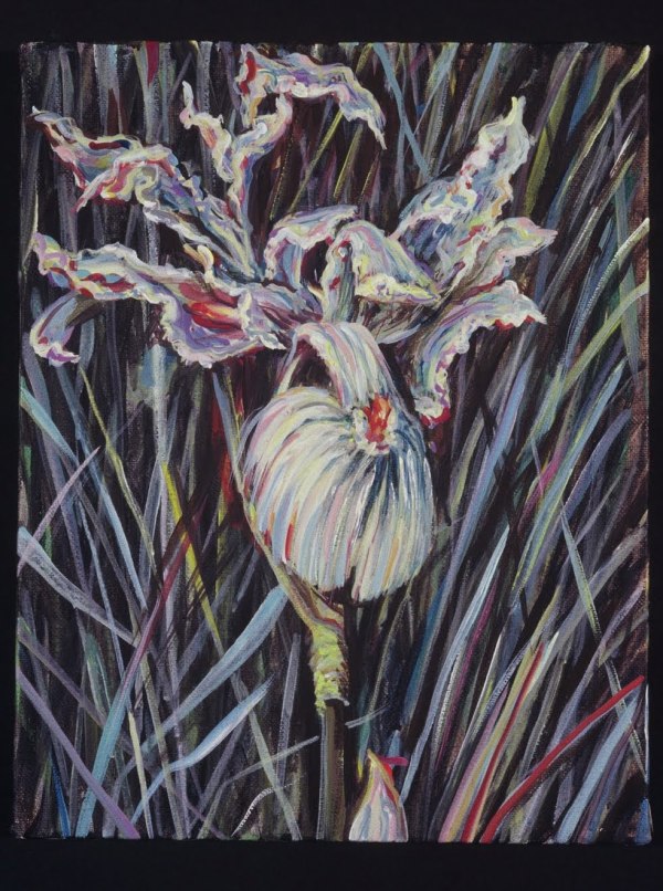 Rim Series #18, Wild Iris by Gilah Yelin Hirsch