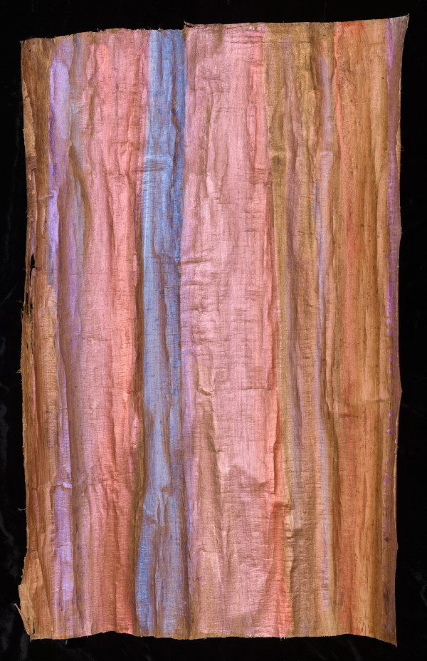 Emanations at the Lake, Series VIII #3, Redwoods Skin by Gilah Yelin Hirsch