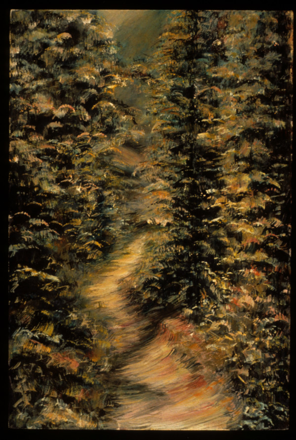The Trail by Gilah Yelin Hirsch