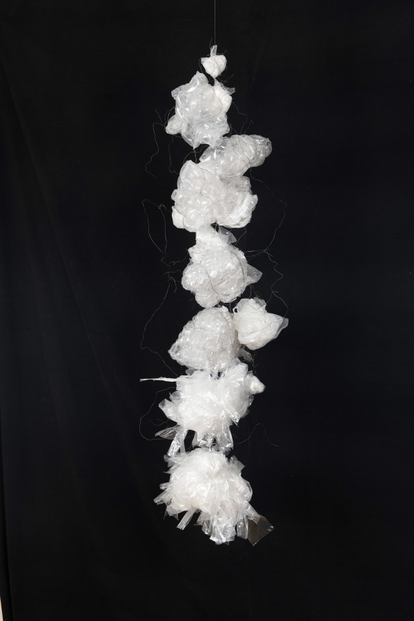 The Clouds and Wire by Michelle Shaw