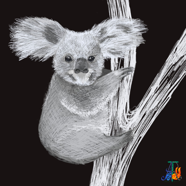 Fuzzy Koala