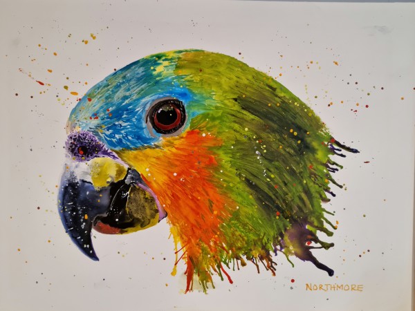 Parrot face