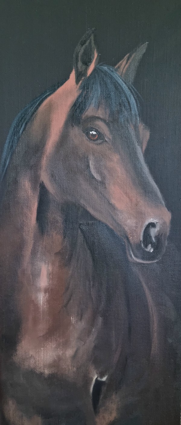 Brown on black by Gillian Northmore