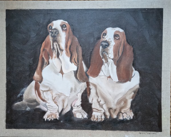 Hush Puppies by Gillian Northmore