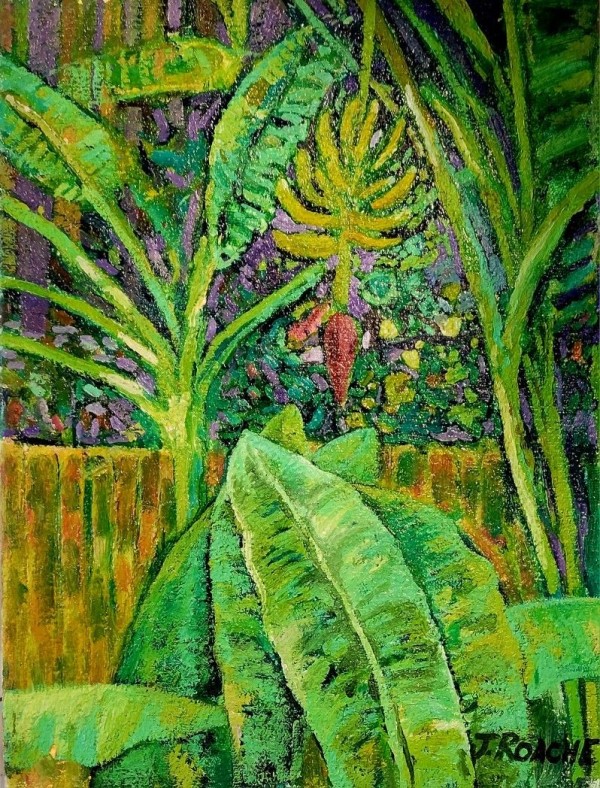 Banana Tree by Joe Roache