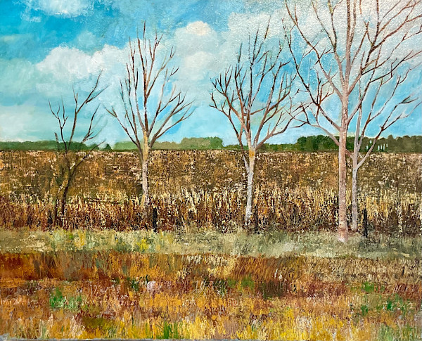 Fall Forest by Joe Roache