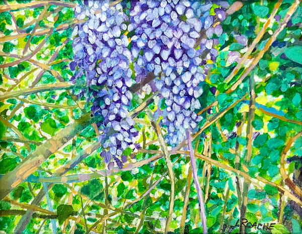 Wisteria by Joe Roache