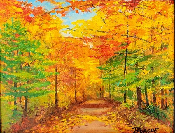 Autumn Woods by Joe Roache