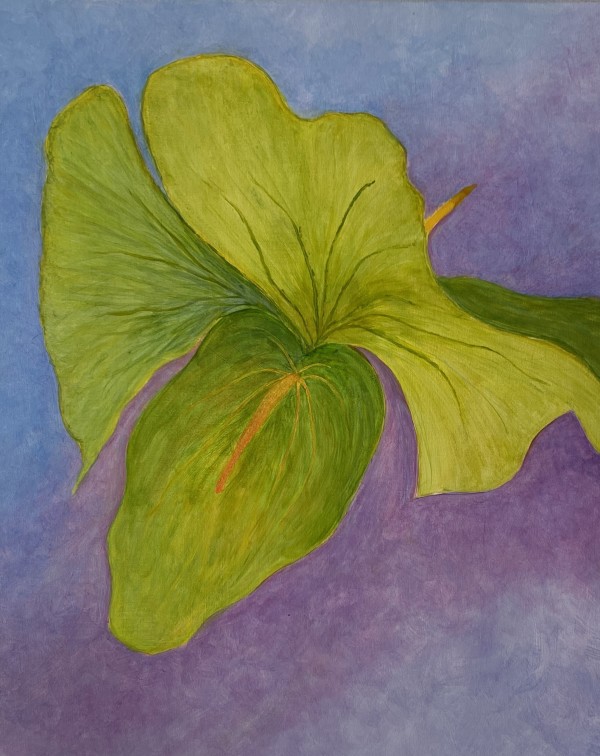 Anthurium by Brian Woolford