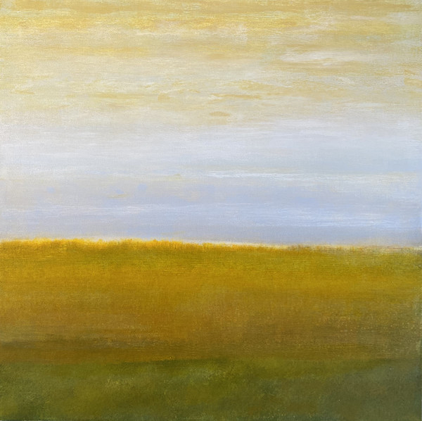 Grasslands AM by Brian Woolford