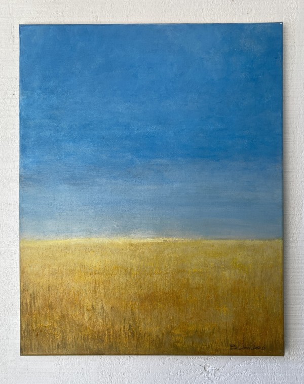 Sky Over Plains by Brian Woolford