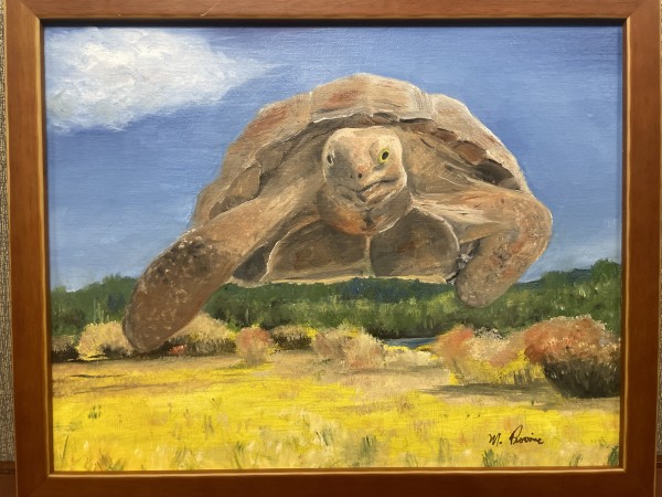 Conquering Tortoise by Marie Provine