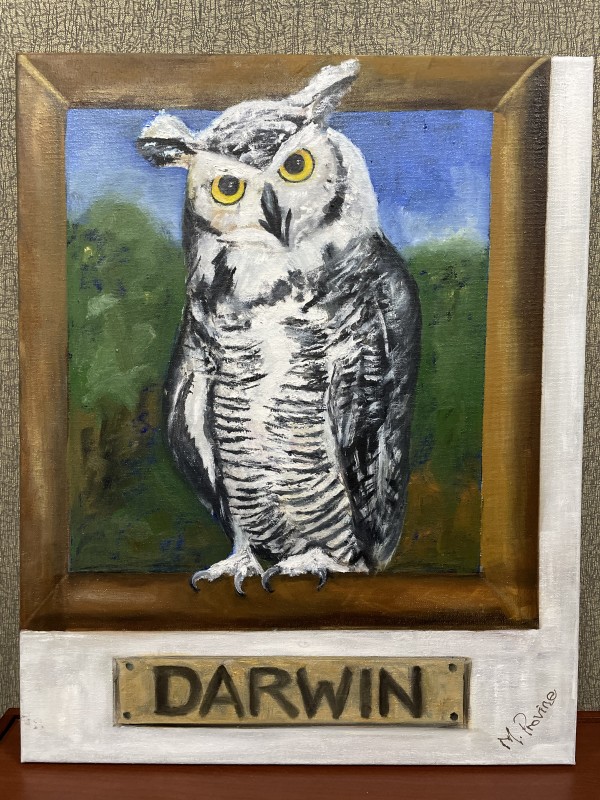 Darwin by Marie Provine