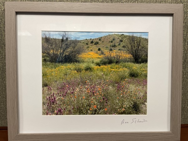 Field of Flowers by Anne L. Schneider